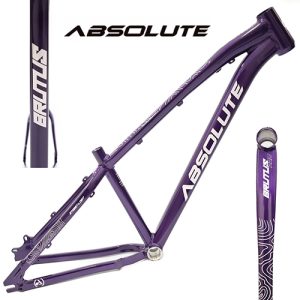 Quadro 26 Absolute Brutus Pro roxo